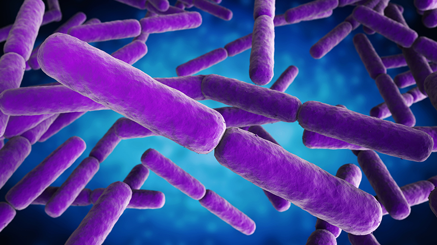 Biofungicide Gains Approval in California