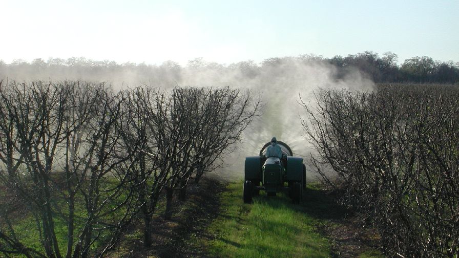 Restrictions Recommended on Chlorpyrifos in California